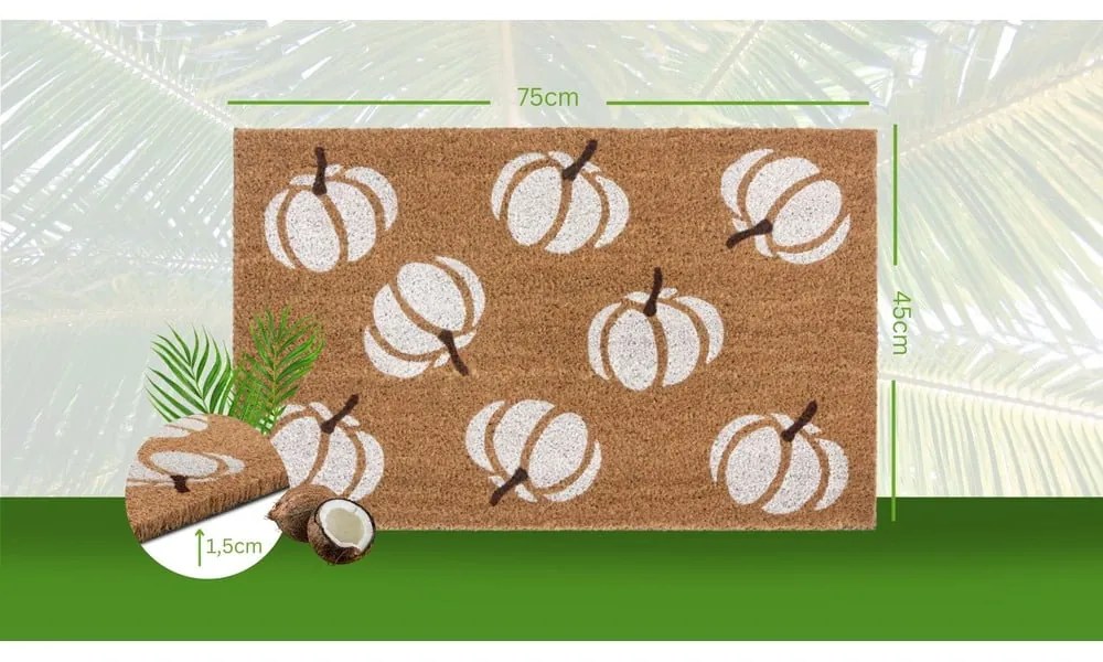 Covoraș de intrare 45x75 cm Mix Mats – Hanse Home