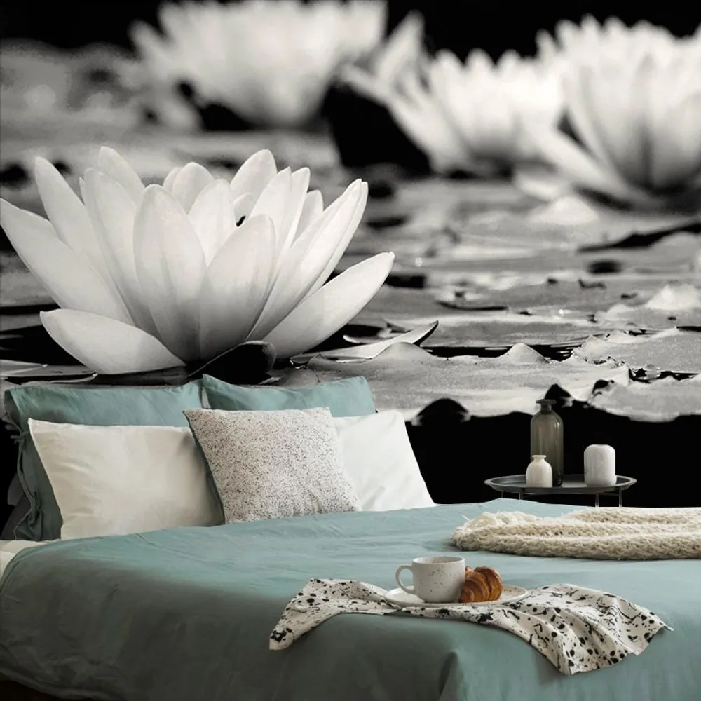 Fototapet floare de lotus în alb-negru