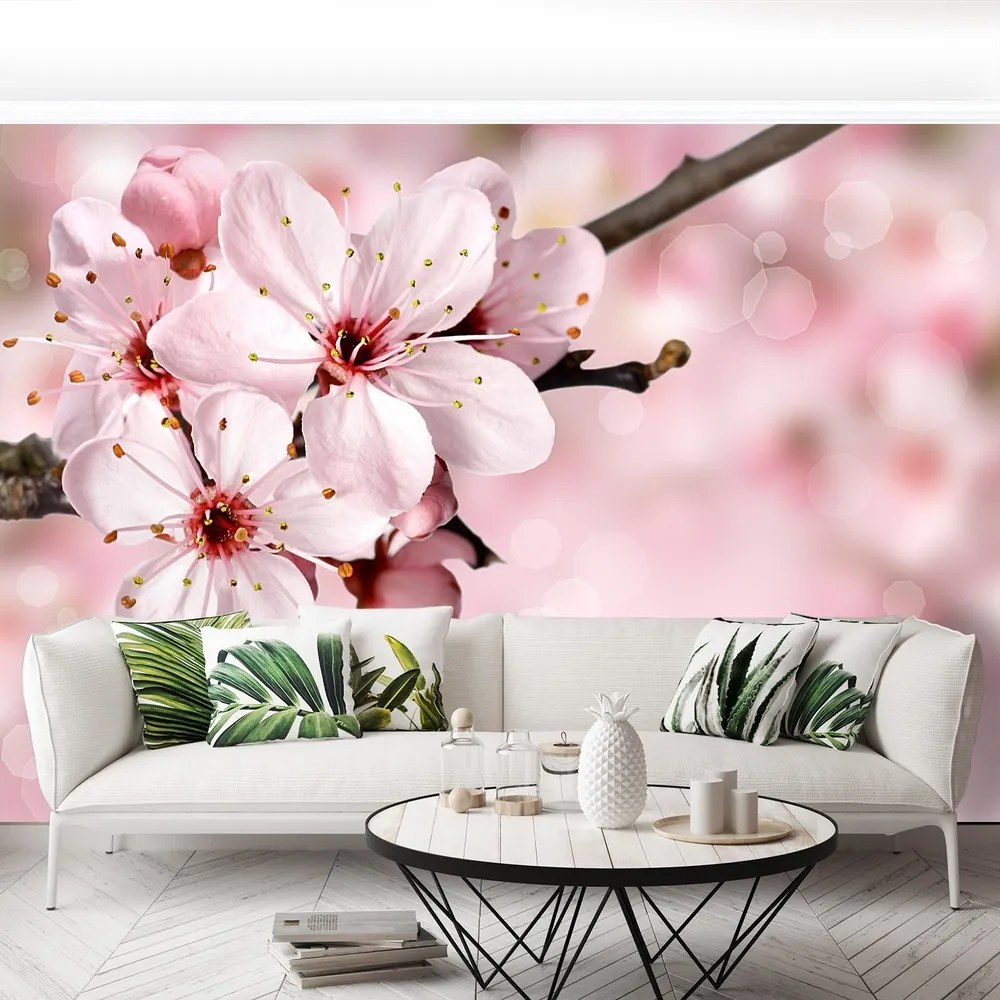 Fototapet Floare roz