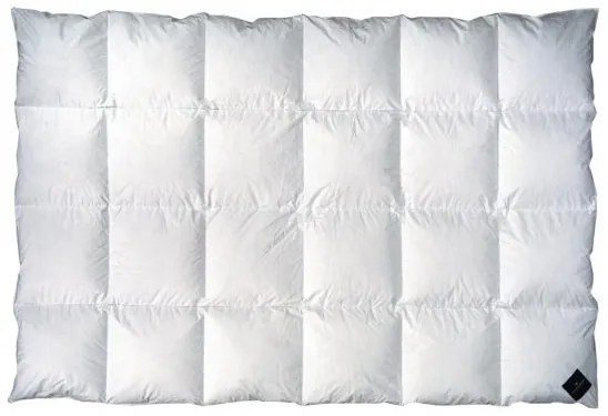 Pilota Billerbeck Adri, 4 nivel de caldura, 2200 x 2000 mm.