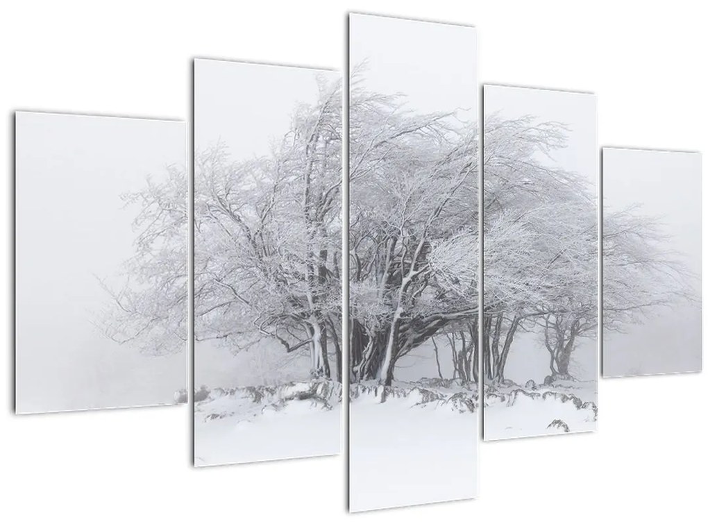 Tablou - Iarnă albă (150x105 cm)