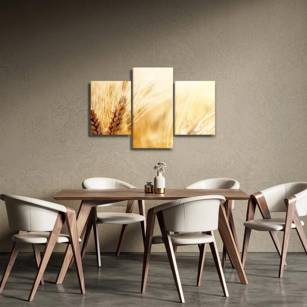 Tablou- detaliu cu (90x60 cm)