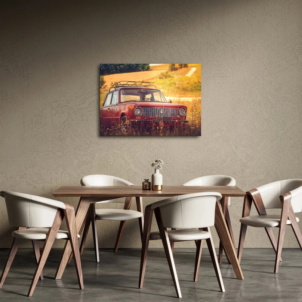 Tablou cu mașină în câmp (70x50 cm)
