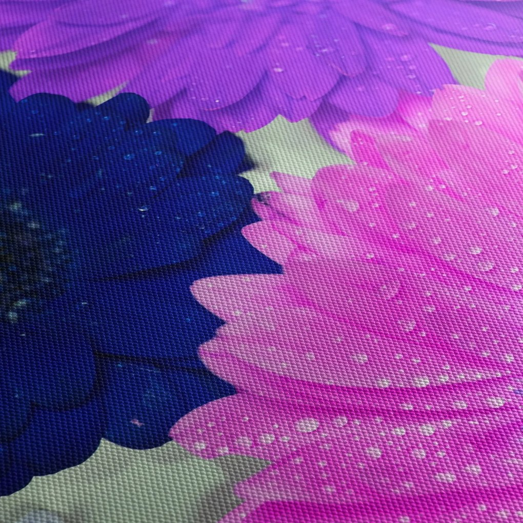 Tablou cu flori colorate (90x60 cm)
