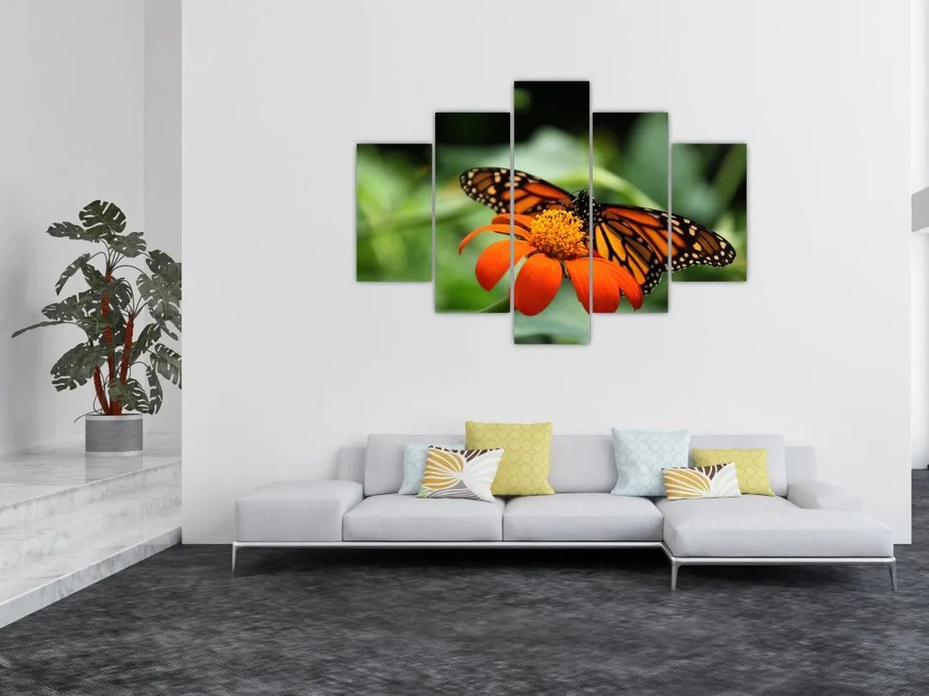 Tablou cu fluture pe floare (150x105 cm)