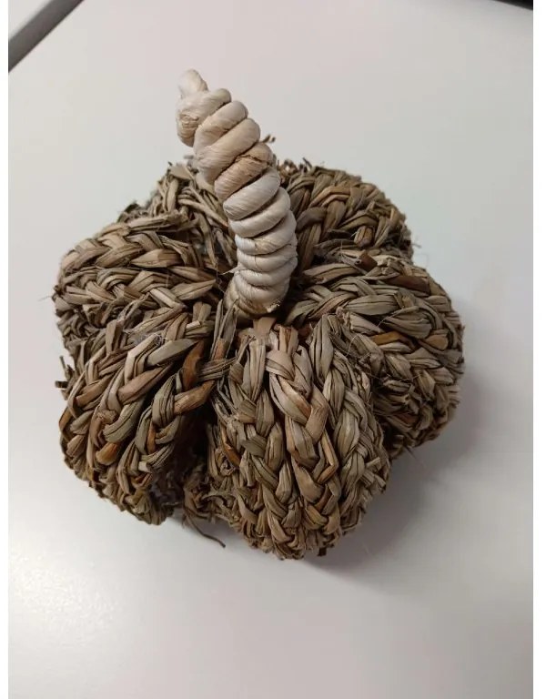 OFERTA Decoratiune dovleac PUMPKIN COACH GRASS II.calitate