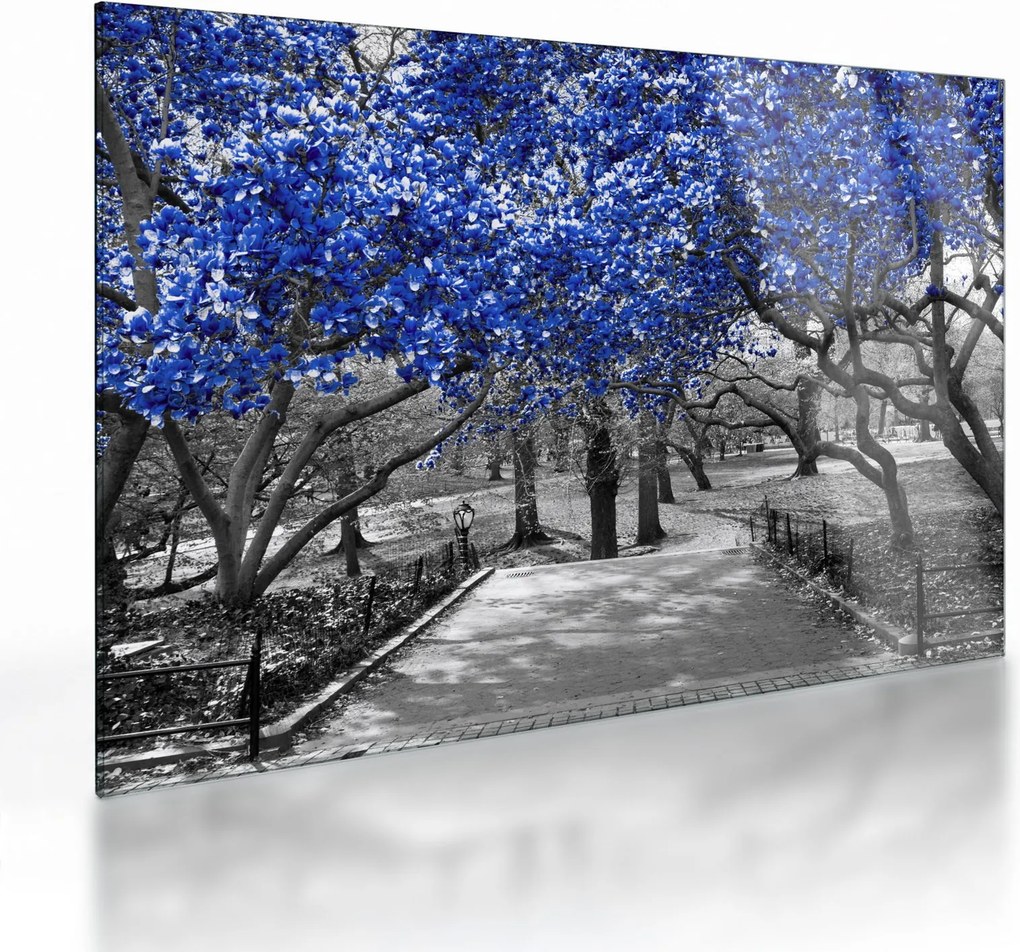 Tablou pe sticlă - Copaci albaștri Central Park, New York (70x50 cm)