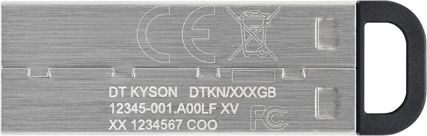 Memorie USB Kingston DTKN/512GB Argintiu 512 GB