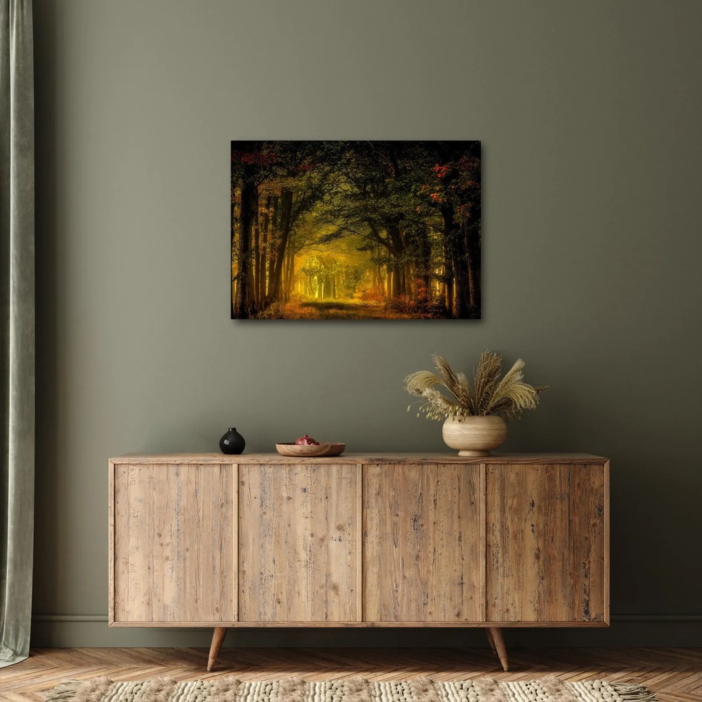 Tablou cu pădure (70x50 cm)