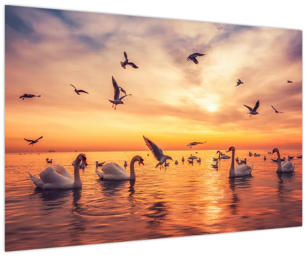 Tablou - Lebedă (90x60 cm)