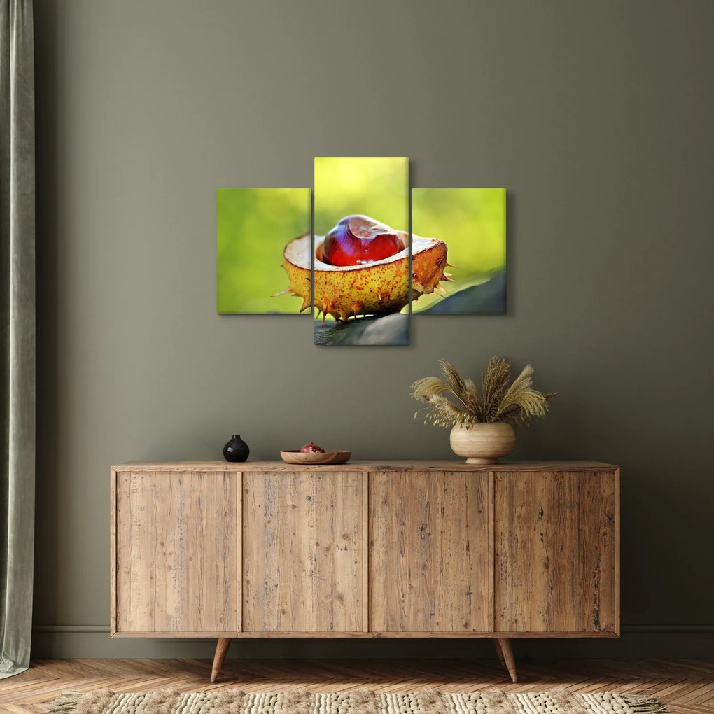 Tablou cu castani (90x60 cm)