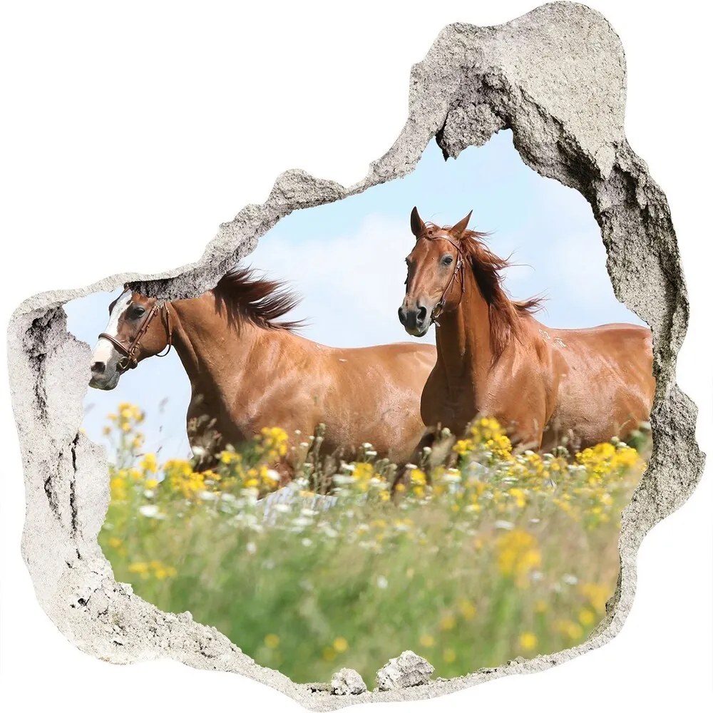Fototapet un zid spart cu priveliște Doi cai în galop