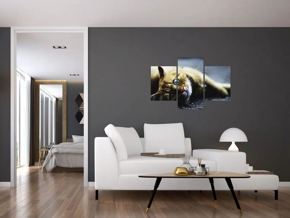 Tablou cu pisica (90x60 cm)