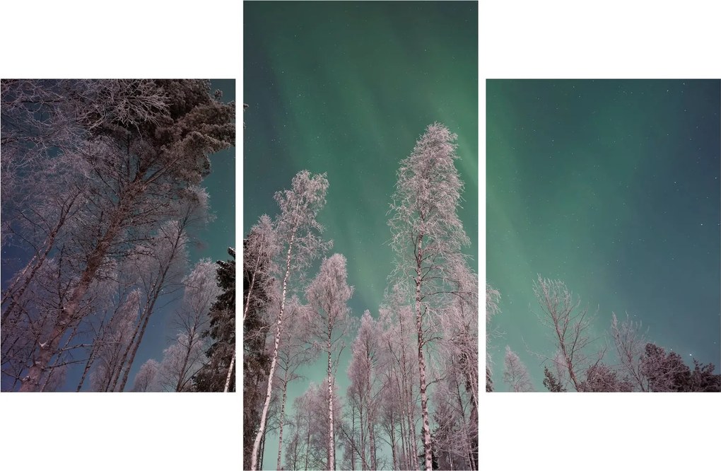 Tablou cu aurora borealis deasupra pomilor înghețați (90x60 cm)