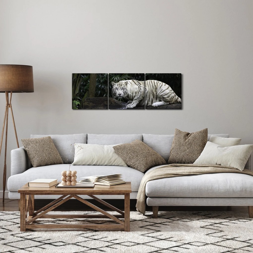 Tablou - Tigru alb (cu ceas) (90x30 cm)