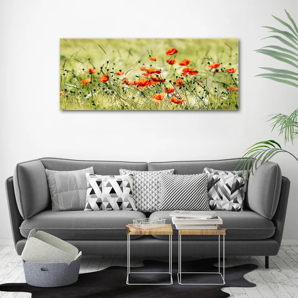 Imprimare tablou canvas Maki