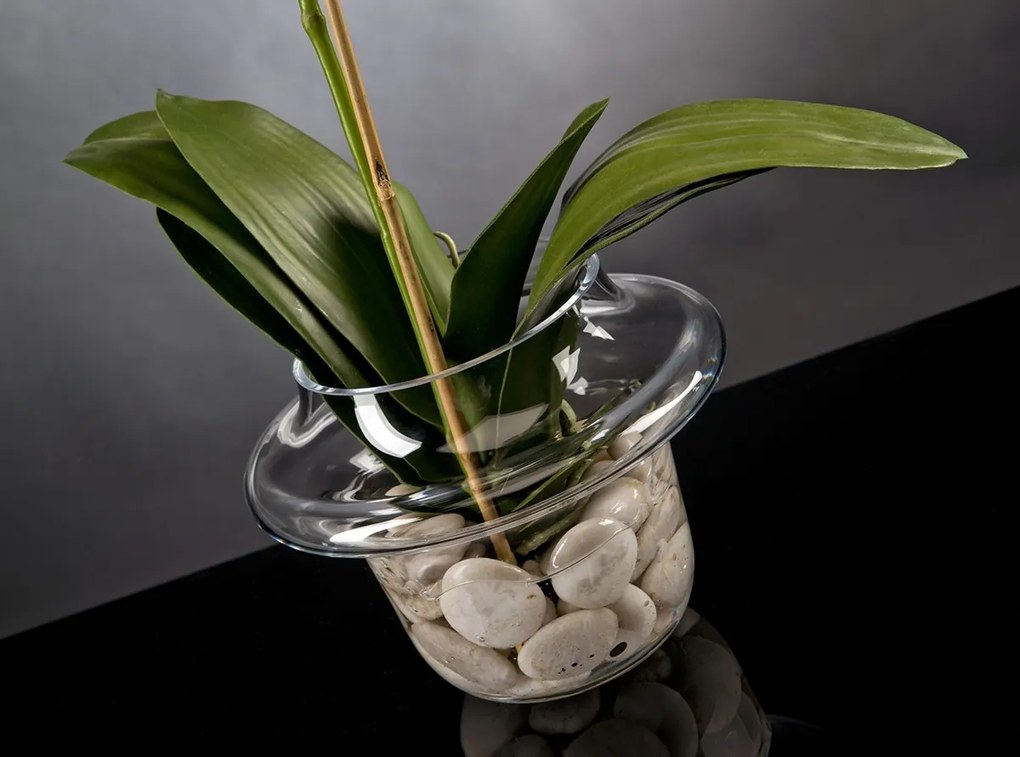 Aranjament floral elegant LIGHT ATOLLO 1 PHALENOPSIS SMALL 1141373.95