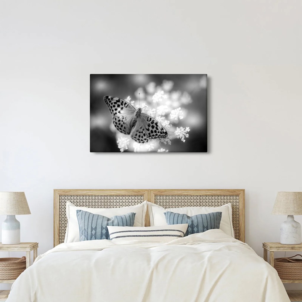 Tablou - Detailu cu fluture care polenizează floare (90x60 cm)