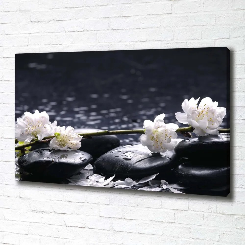 Print pe canvas Floare de cires