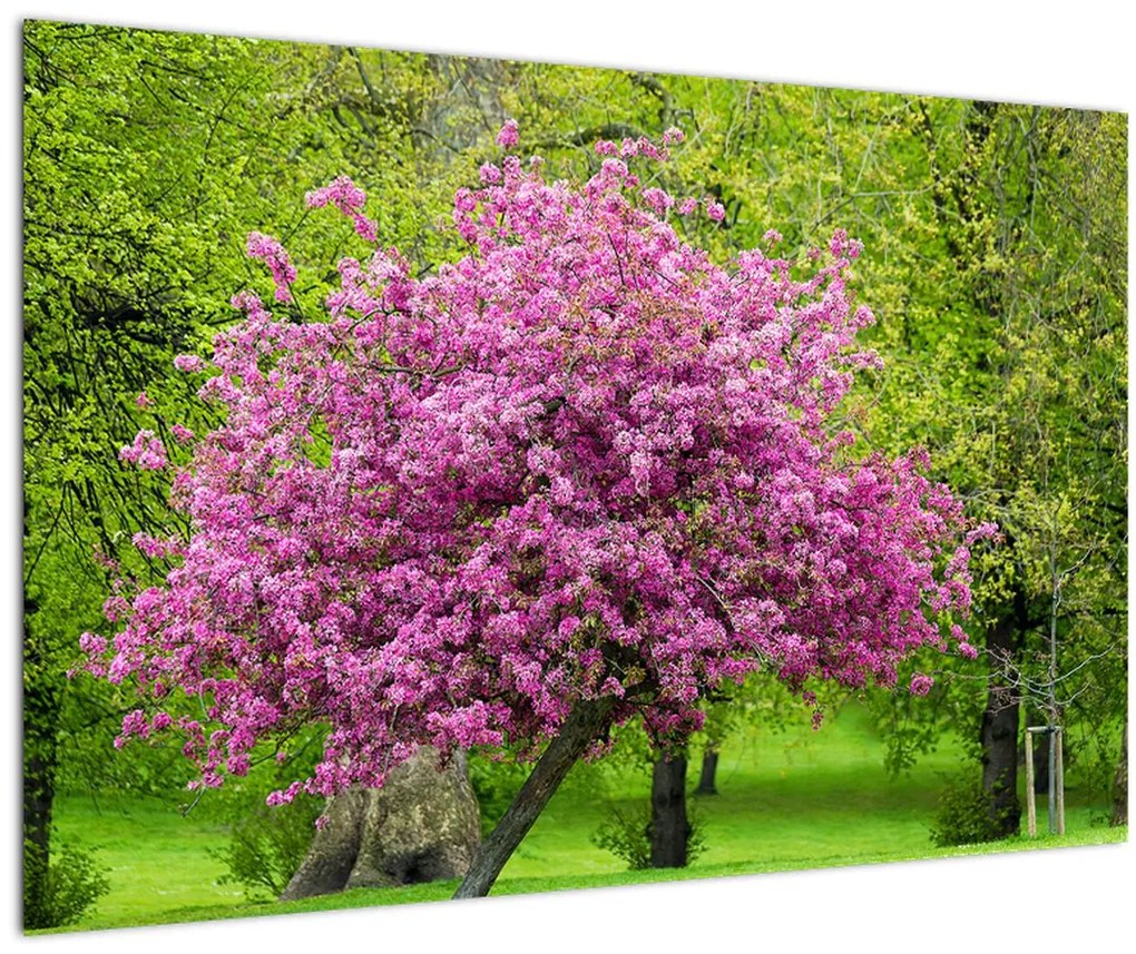 Tablou cu pom înflorit pe luncă (90x60 cm)