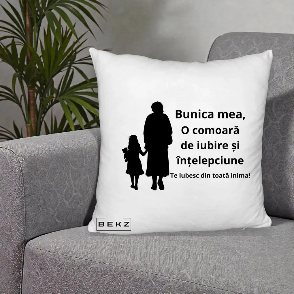 Cadou pentru Bunica - Perna Personalizata Bunica Mea Comoara Iubire Intelepciune Silueta, 40x40 cm, Alb Pufos, Husa Detasabila, Perna Inclusa, BEKZ®