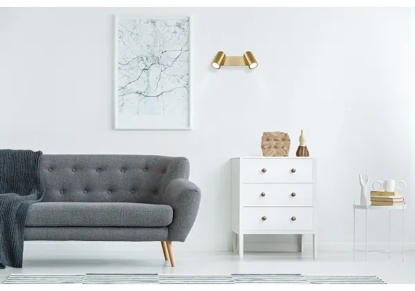 Spot Globo 57911-2GO ROBBY 2xGU10/35W/230V