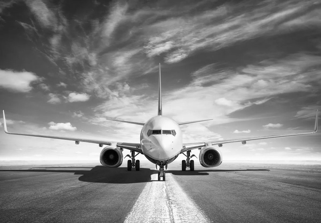 Fototapet - Avion (152,5x104 cm)