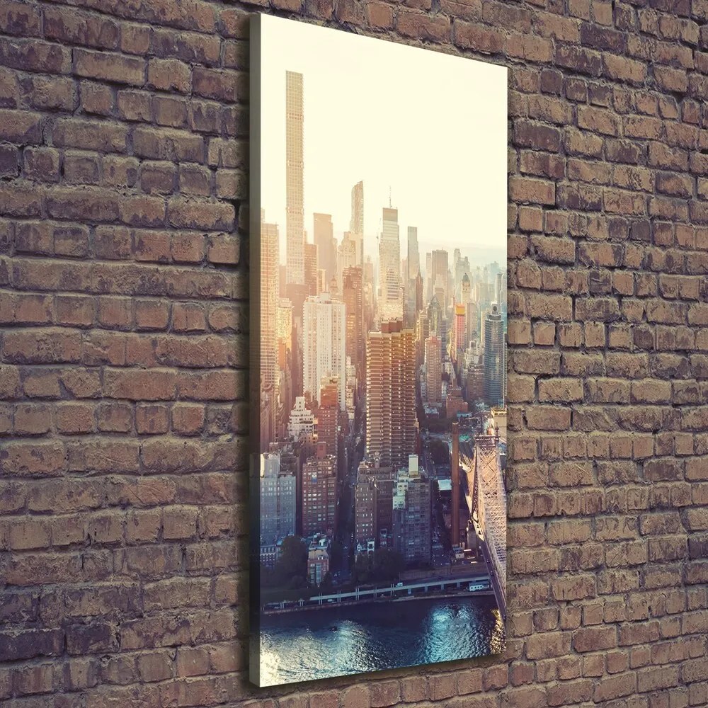 Pictură pe pânză New York pasăre de zbor