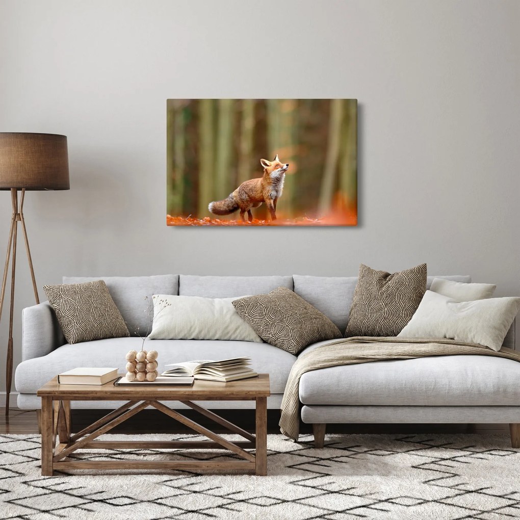Tablou - Vulpe (90x60 cm)