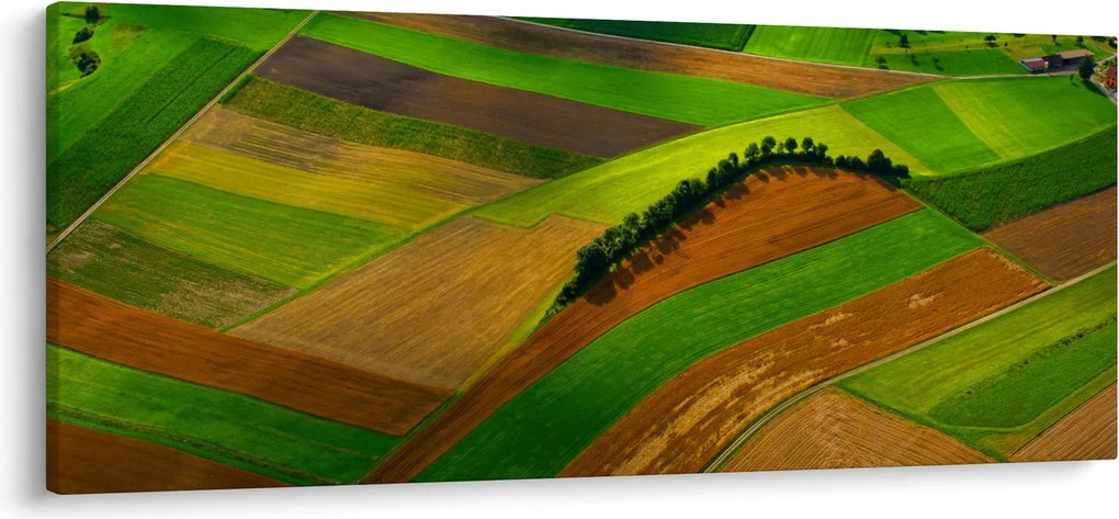 Tablou - Lan, luncile (120x50 cm)