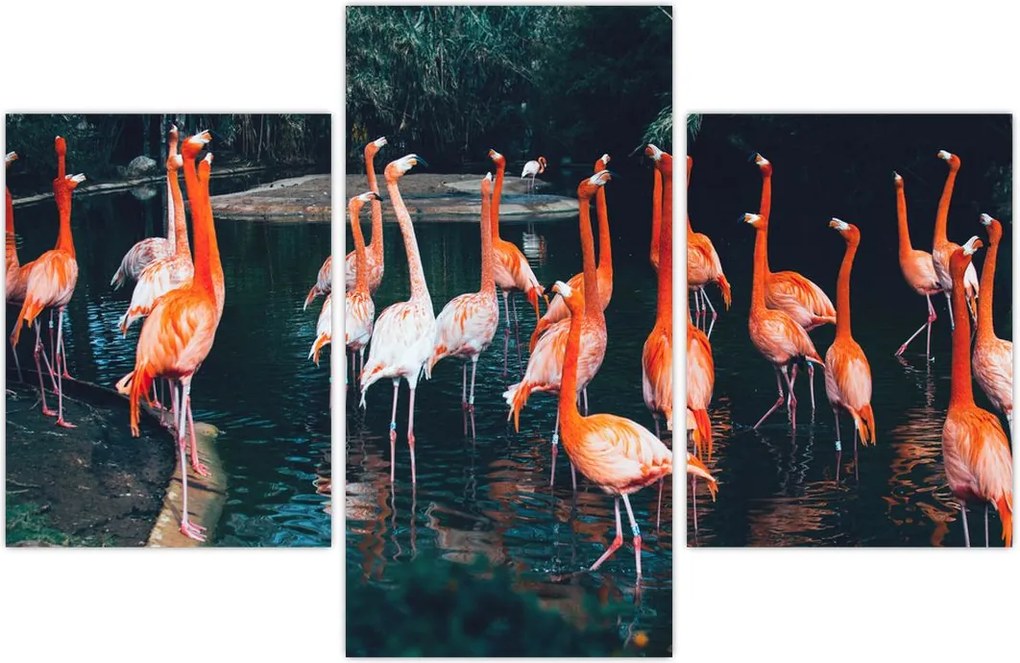 Tablou - turmă de flamingo (90x60 cm)