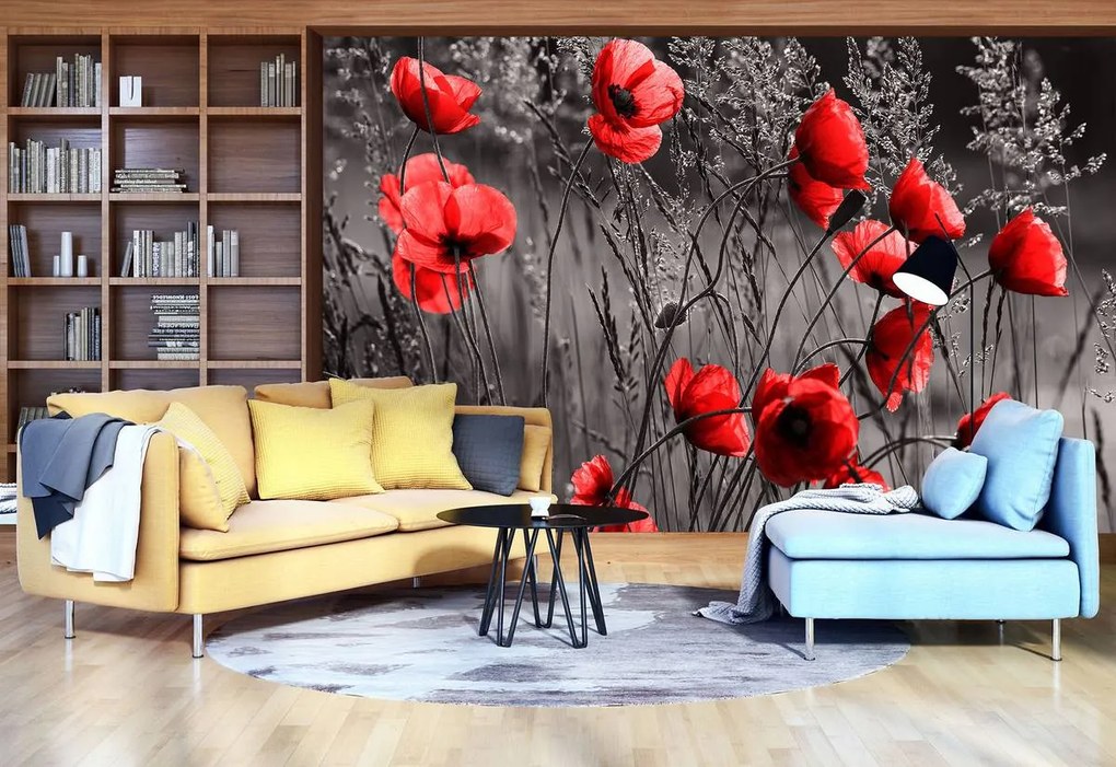 Fototapet - Mac (152,5x104 cm)