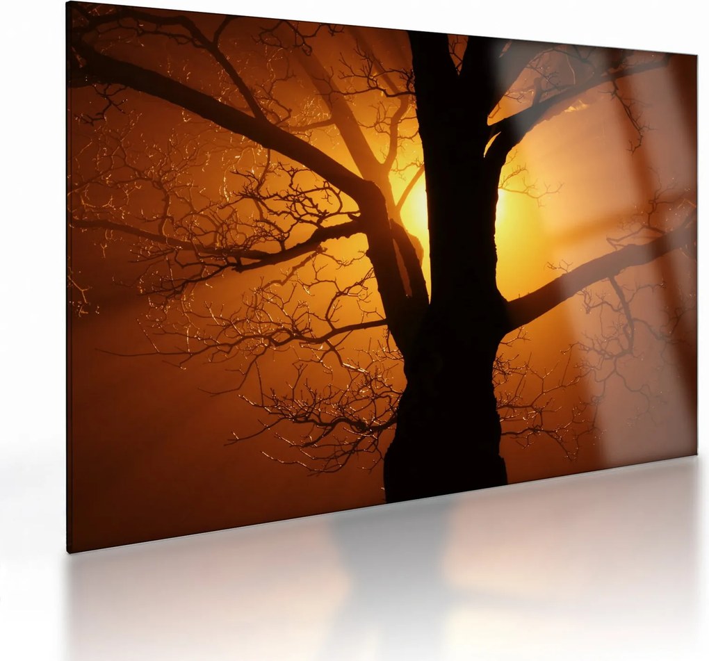 Tablou pe sticlă cu copac în apus de soare (70x50 cm)