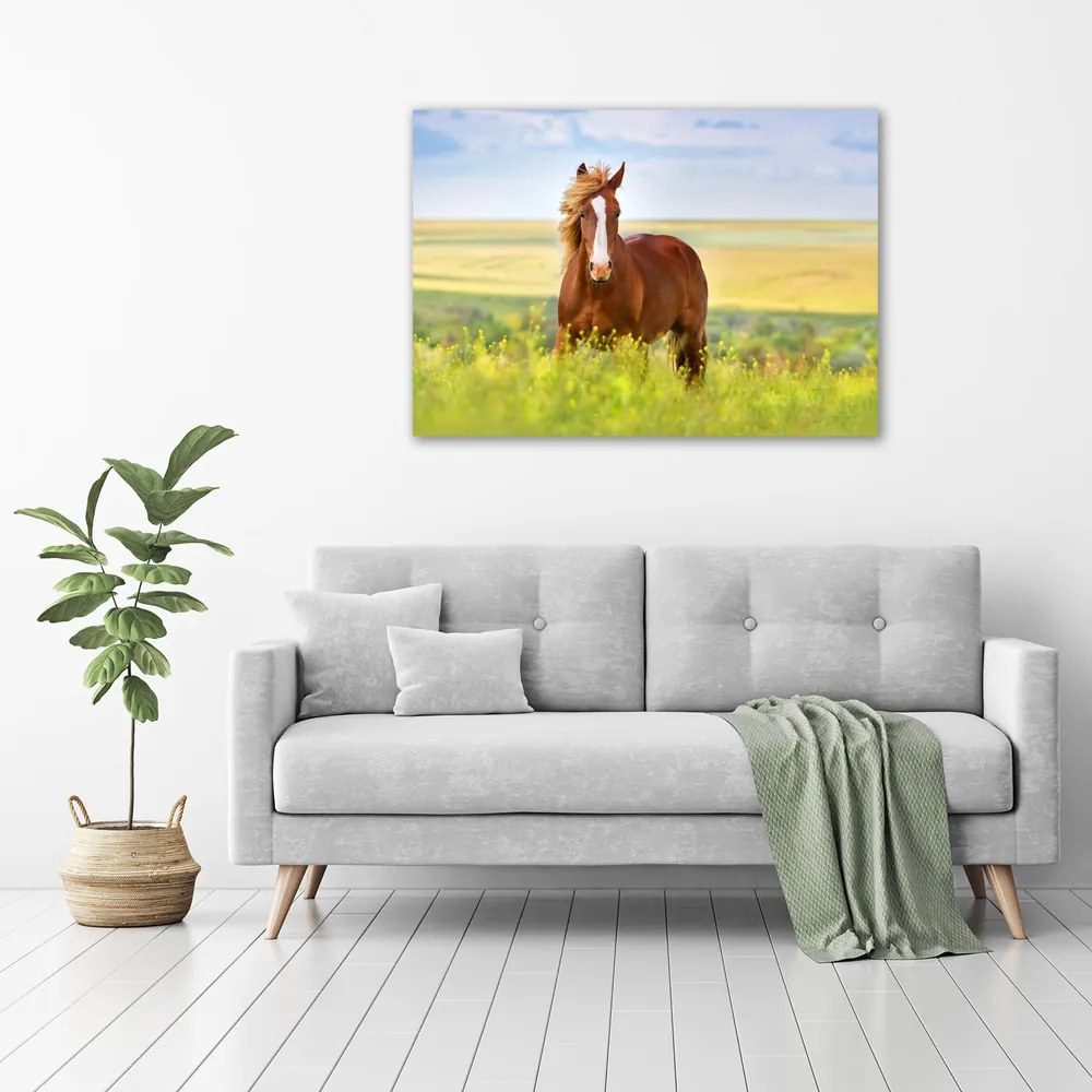 Print pe canvas Cal maro