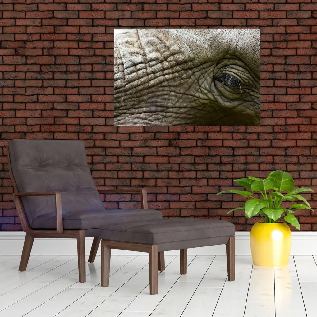 Tablou - Prim-planul ochiului de elefant vechi (90x60 cm)