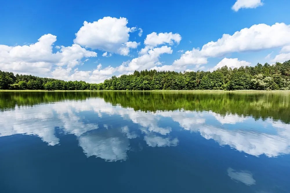 Fototapet autoadeziv natura în periada de vară