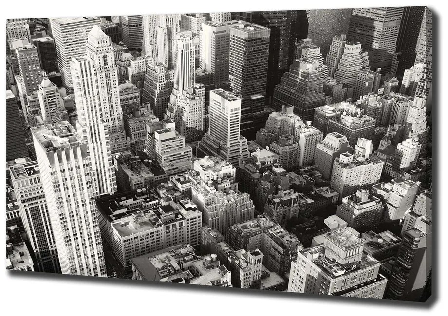 Tablou pe pânză New york pasăre de zbor