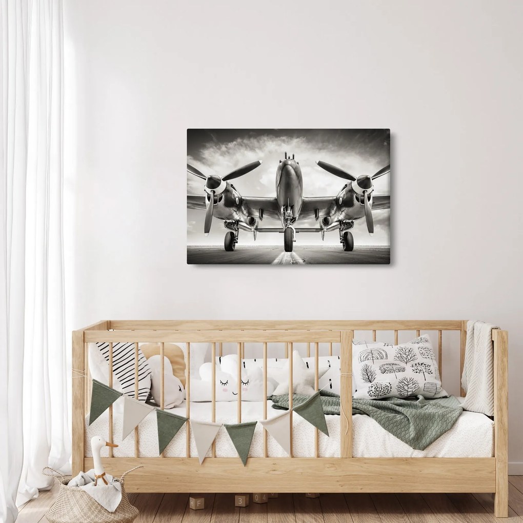 Tablou - Warbird (90x60 cm)