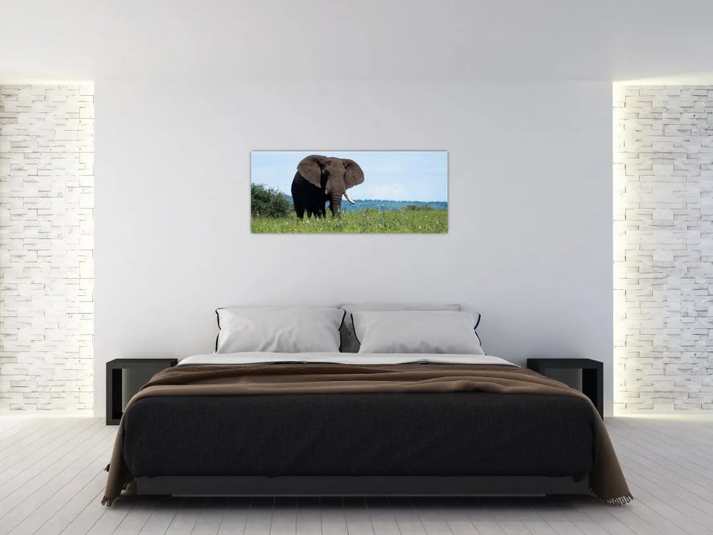 Tablou cu elefant (120x50 cm)