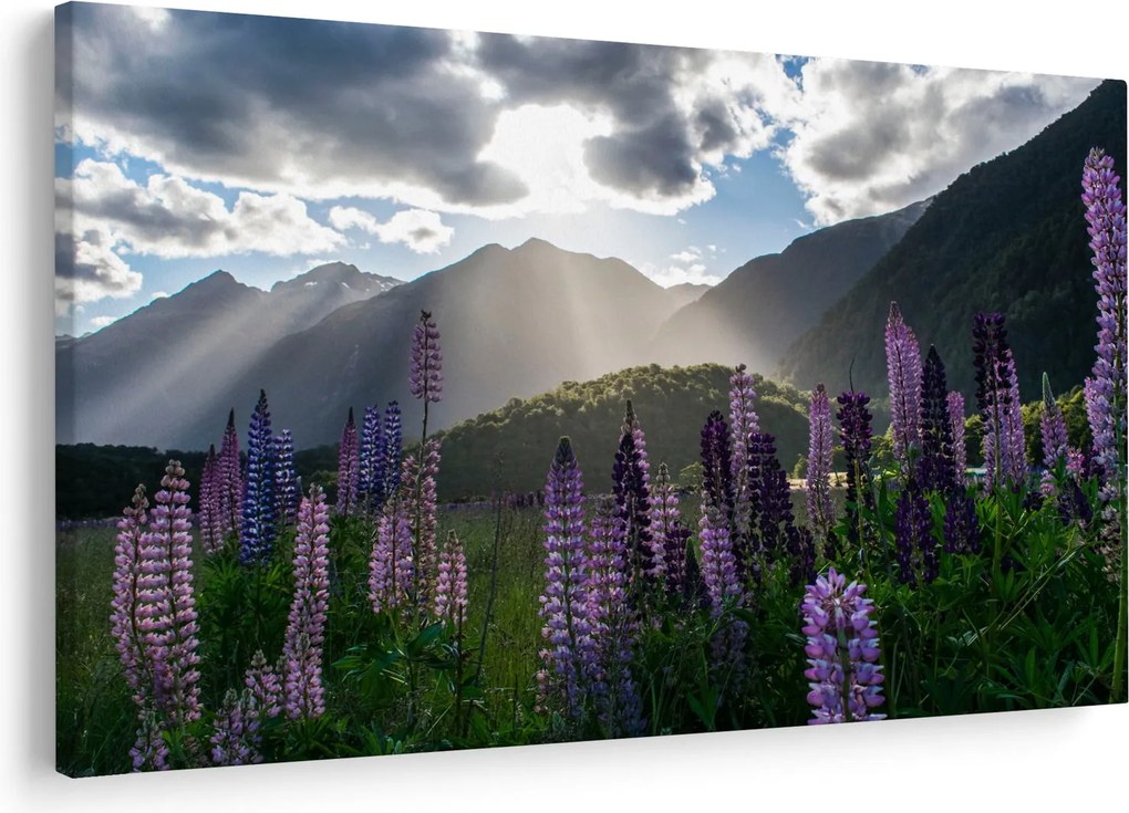 Tablou - scenariu cu flori de Lupin (90x60 cm)