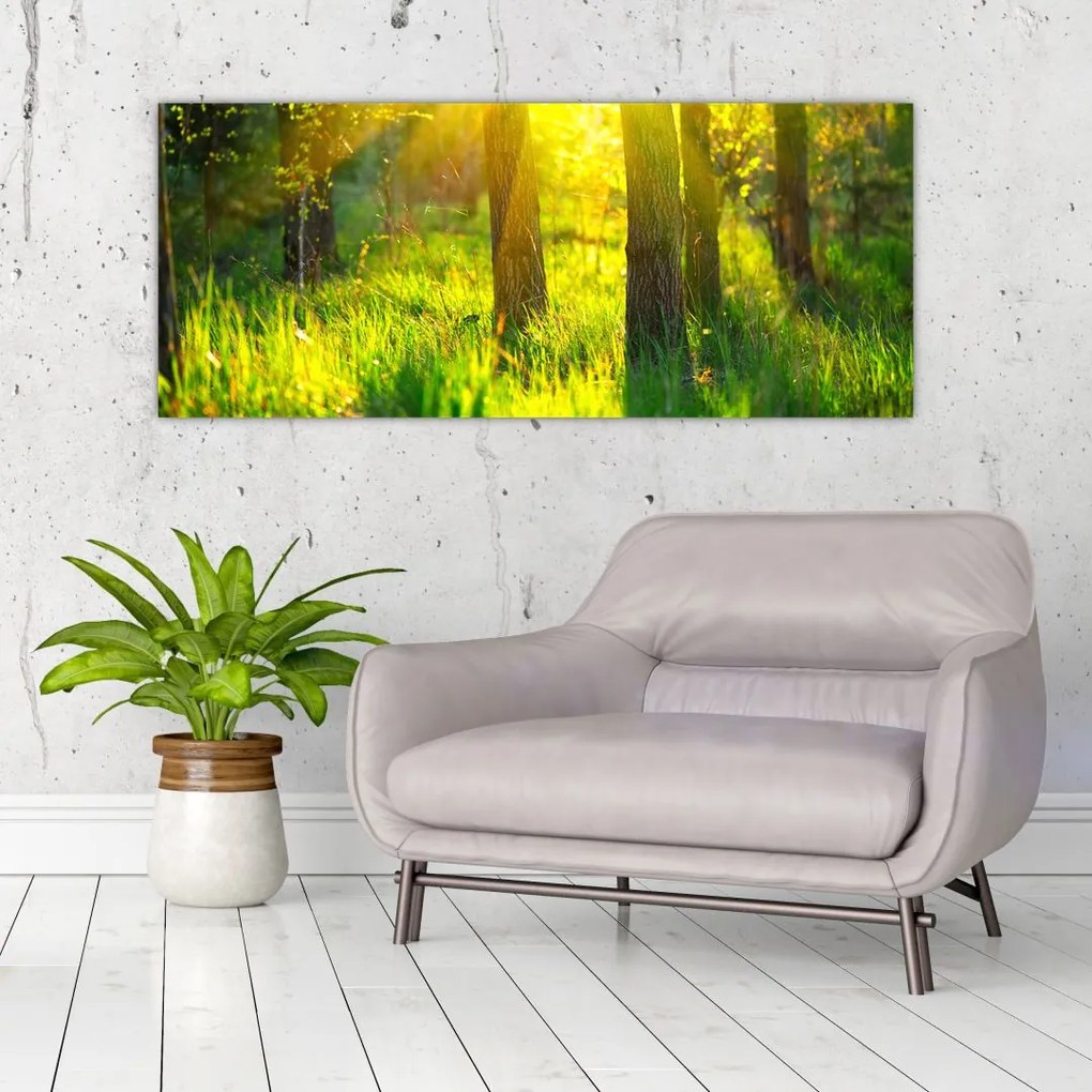 Tablou - Trezirea de primăvară a pădurii (120x50 cm)