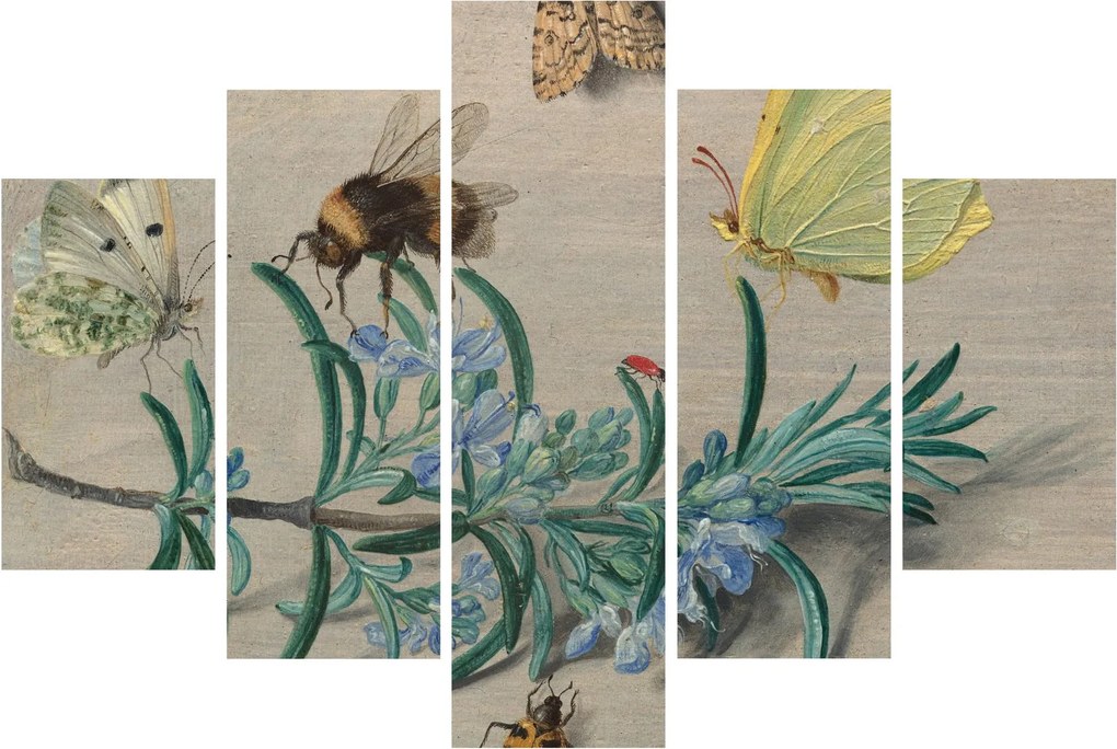 Tablou - Jan van Kessel the Elder, Insects and a Sprig of Rosemary, reproducere (150x105 cm)