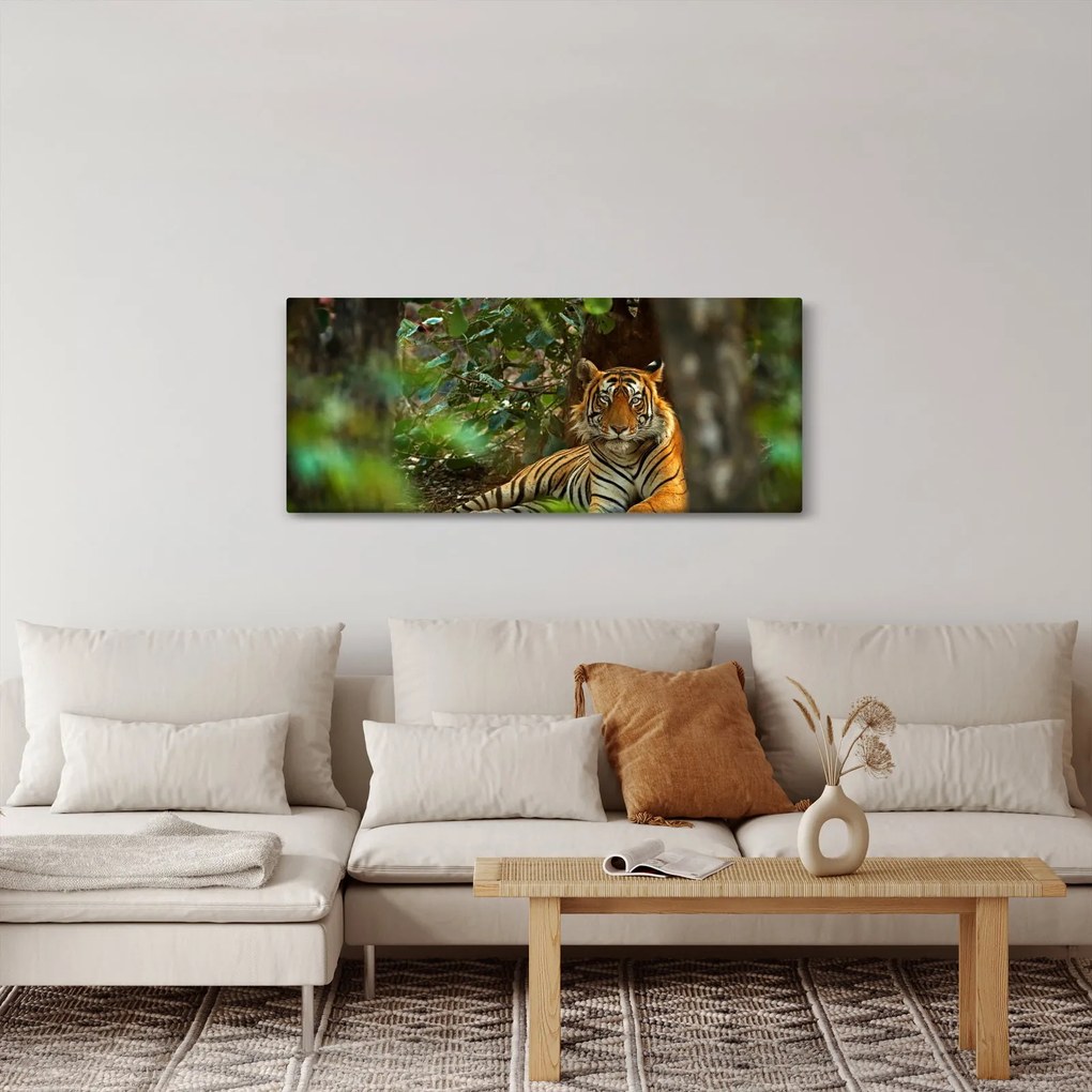 Tablou - Tigru odihnindu -se (120x50 cm)