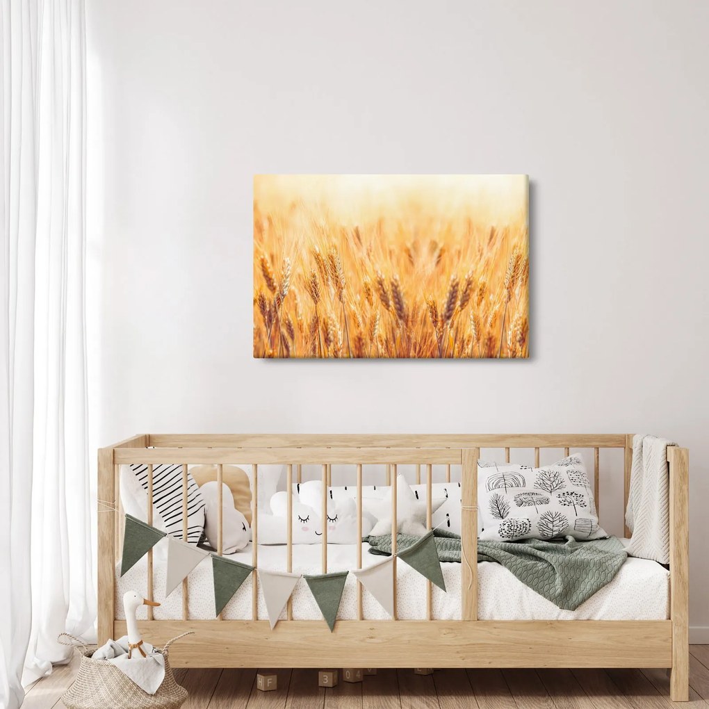 Tablou - câmp cu grâne (90x60 cm)