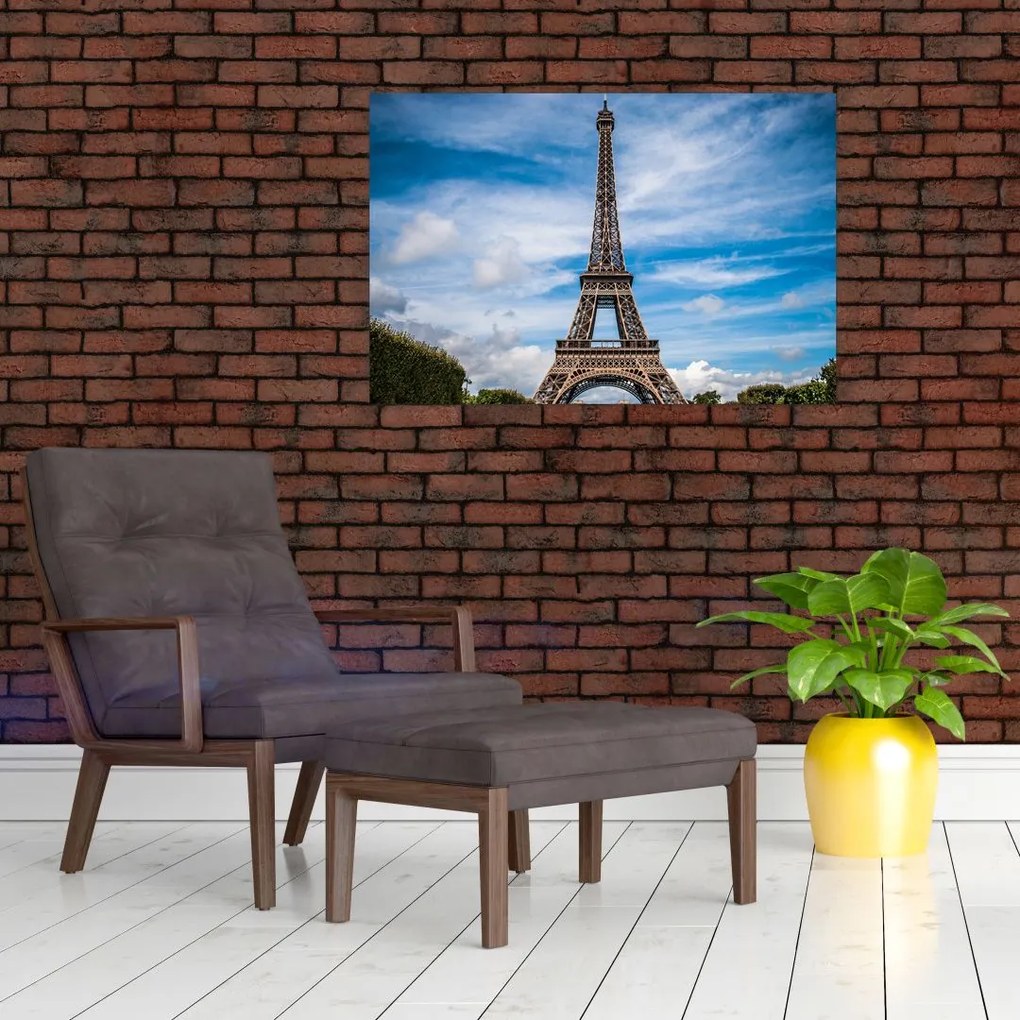Tablou - Turnul Eiffel (90x60 cm)