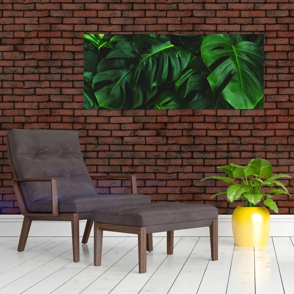 Tablou cu frunze Monstery (120x50 cm)