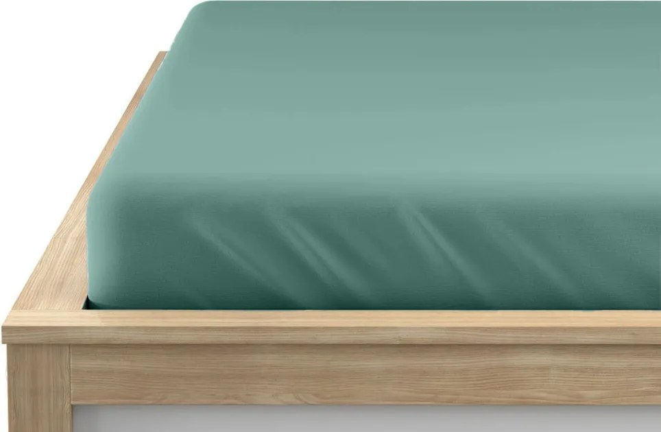 Cearsaf jersey EXCLUSIVE mentol 200x220 cm, 100% bumbac