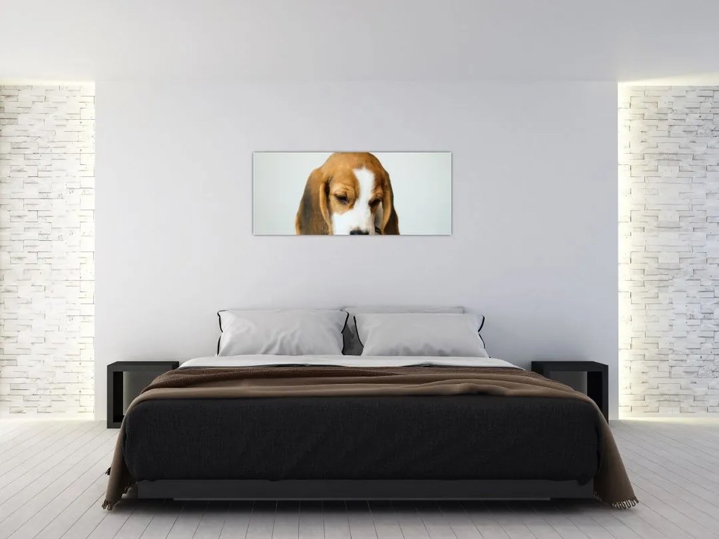 Tablou cu bigl (120x50 cm)