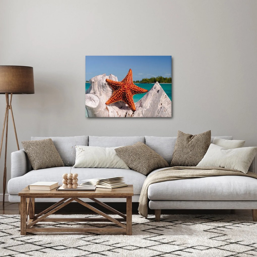 Tablou cu stea de mare (70x50 cm)