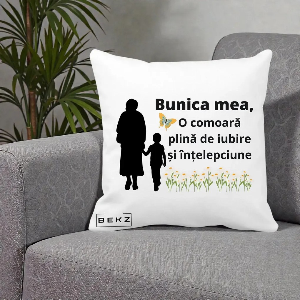 Cadou pentru Bunica - Perna Personalizata Bunica Mea Comoara cu Fluture si Baietel, 40x40 cm, Alba Mata, Husa Detasabila, Perna Inclusa, BEKZ®